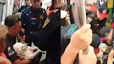 ¿Quién tiene razón? El polémico caso del hombre sacado a la fuerza del Metro CDMX por llevar un perro herido