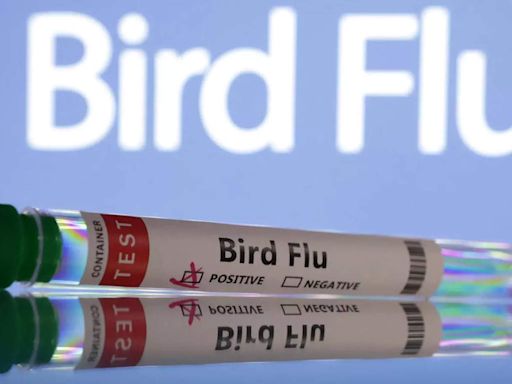 Bird flu response in Michigan sparks COVID-era worry on farms - ET HealthWorld