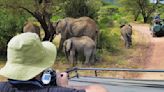 Turista español muere aplastado por un elefante en parque de Sudáfrica