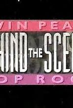 Twin Peaks/Cop Rock: Behind the Scenes (TV Movie 1990) - IMDb