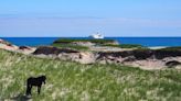 B.C. pair found dead in inflatable boat washed up on Nova Scotia's Sable Island