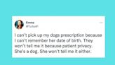 50 Of The Funniest Tweets About Cats And Dogs In 2022