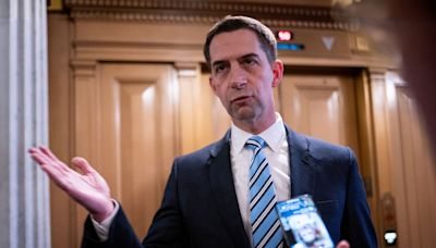 Republican Senator Tom Cotton urges followers to attack pro-Palestine protesters who block traffic