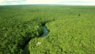 Virada Parlamentar promove audiência sobre desmatamento da Amazônia - Congresso em Foco