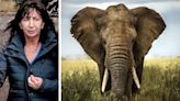 Dundee woman made thousands selling illegal elephant ivory jewellery