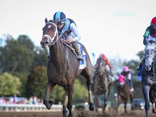 Grade 1 Winner Candied Swerves Acorn, Will Try To Get Back On Track In Lady's Secret