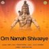 Om Namah Shivaaye