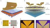 Engineers integrate wafer-scale 2D materials and metal electrodes with van der Waals contacts