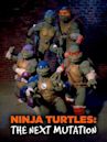 Las Tortugas Ninja: Next Mutation