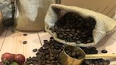 茶改場研發用AI挑選分類咖啡豆 生產效率提高2倍