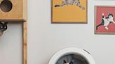 A Cat Lady’s Honest Review of Whisker’s Litter-Robot 4