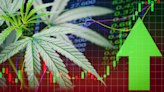 3 Hot Cannabis Stocks With Multibagger Return Potential Before the Presidential Election