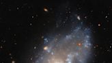 Hubble Hunts Visible Light Sources of X-Rays