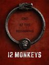 12 Monkeys