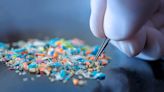 What Health Risks Do Microplastics Pose?