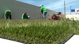 SNWA offers Las Vegas residents incentive to get rid of grass