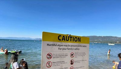 Lake Tahoe beaches tested for toxic blue-green algae bloom. Here’s how to spot it