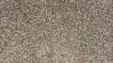 You have 20/20 vision if you can see the spider on the dirty rug in 10 seconds