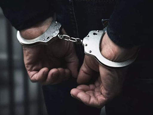 Flying high to stay low: Gangster operating abroad arrested by Haryana Police at Delhi airport | Gurgaon News - Times of India