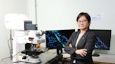 PolyU scholar discovers key mechanism of intraocular pressure regulation suggesting novel treatment approaches for glaucoma