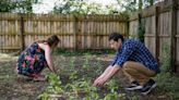 Scrub Hub: How can Hoosiers plant native gardens?