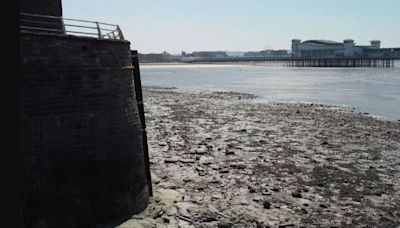 Tombstoning warning to beachgoers as part of urgent plea