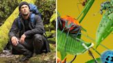 ‘Limitless With Chris Hemsworth’ & ‘A Real Bug’s Life’ Renewed For Season 2 At Nat Geo & Disney+