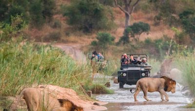 I went on my first safari trip to South Africa. I won't make these 10 mistakes next time.