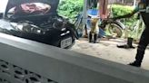 Deadly 12ft king cobra lunges at snake wrangler as he drags it out of car engine