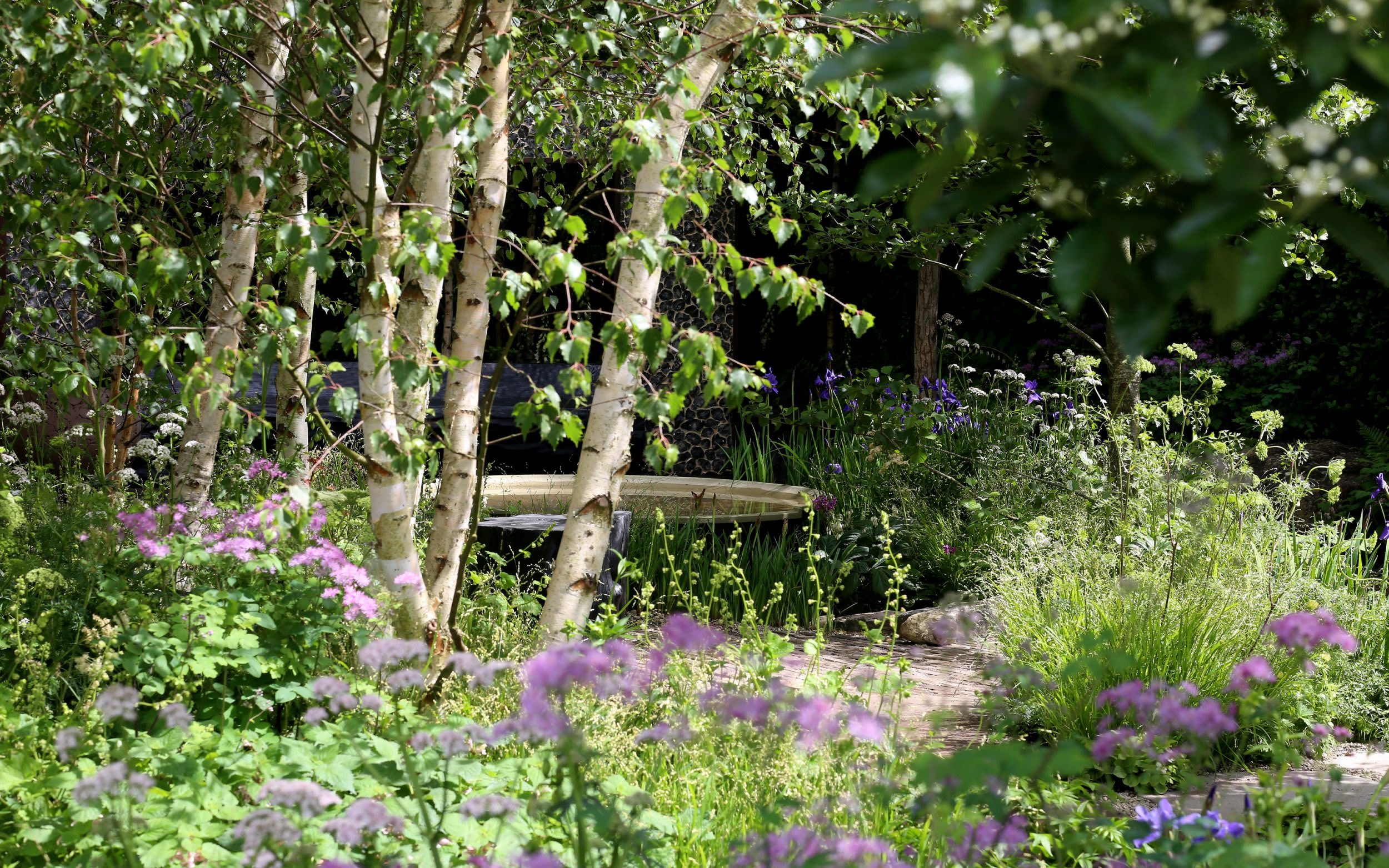How to recreate this Chelsea Flower Show winning garden – and your favourite
