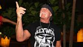 Hulk Hogan Fails To Stop Purse Snatcher With Wrestling Moves In Dutch Insurance Ad