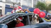 El desfile navideño vuelve a La Paz con un mensaje de paz luego de tres años