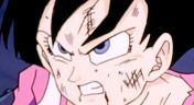 23. Videl Is Crushed