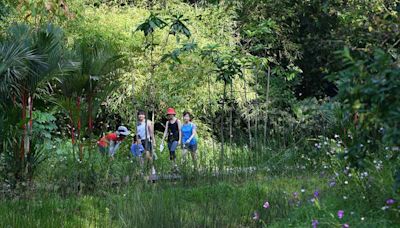 12 best hiking trails in Singapore for nature-lovers