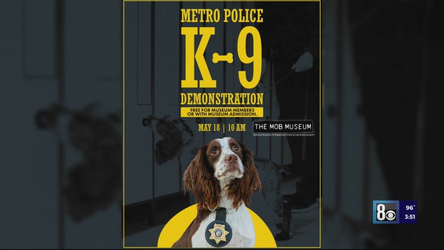 The Mob Museum Presents Metro Police K-9 Demonstration