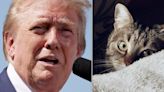 Trump Supporter Whose Police Report Fueled Cat-Eating Rumor Found Pet In Basement Days Later: WSJ