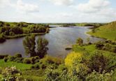 Lough Gur