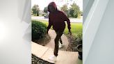 Police looking for York County porch pirate