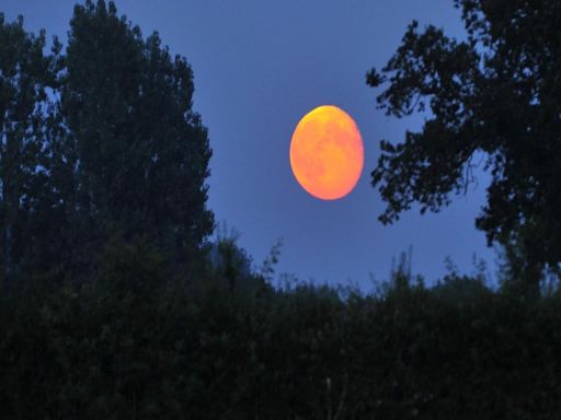 What to see in the sky in July: The Buck Moon and Virgo's farewell