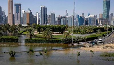 Floods and climate change blamed for surge in dengue in the Emirates as WHO warns of global spike