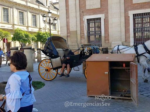 Pacma pide que los coches de caballos no circulen en Sevilla durante olas de calor