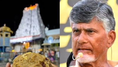 Tirupati Laddoo Row: Andhra Pradesh Govt Sets Up 9-Member SIT To Lead Ghee Adulteration Probe - News18