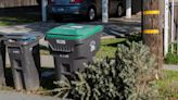 Everything to know about recycling, discarding your Christmas tree after the holidays