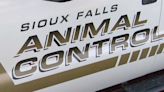 Animal Control: More than just dog catchers