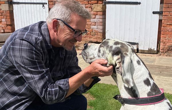 Dog rescued from 20ft well after 'Scooby-Doo' howl