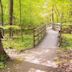 Rondeau Provincial Park