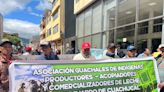 Productores de leche en Nariño en crisis por bajos precios