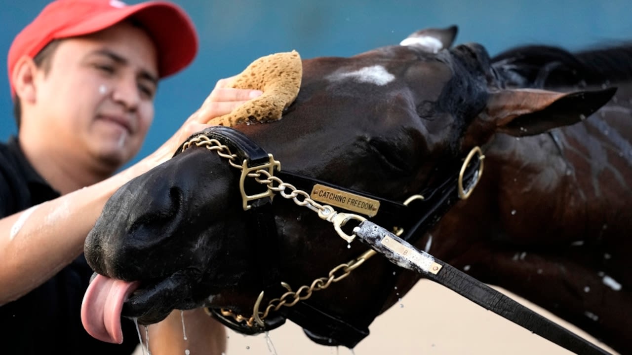 Kentucky Derby 2024: Look over Saturday’s field