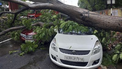 Gujarat Rains: At least 30 villages in Gujarat’s Junagadh cut off as heavy rains submerge roads