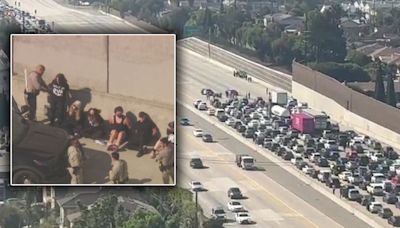 405 Freeway in West LA shut down by Gaza protesters; 9 arrested